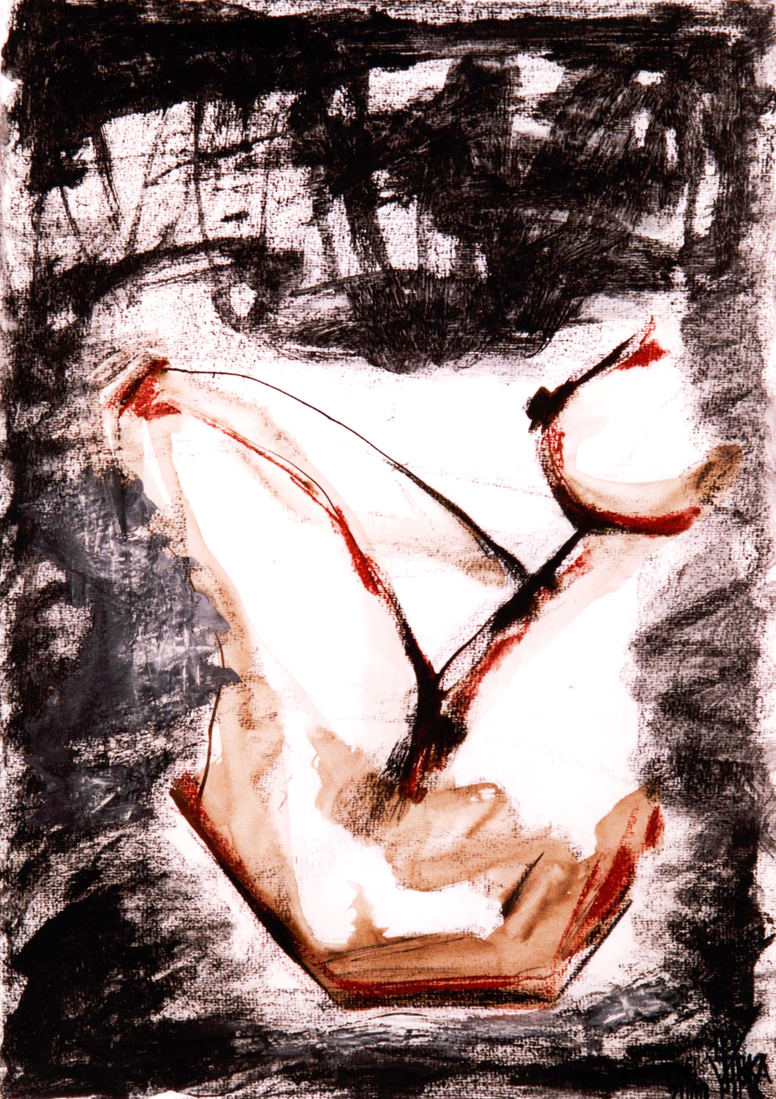 Zyklus Back from USA